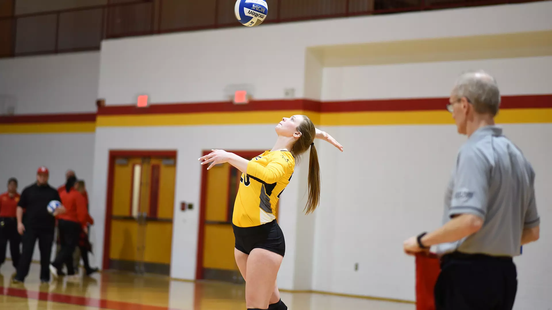 Women's Volleyball (NCAA Tournament)