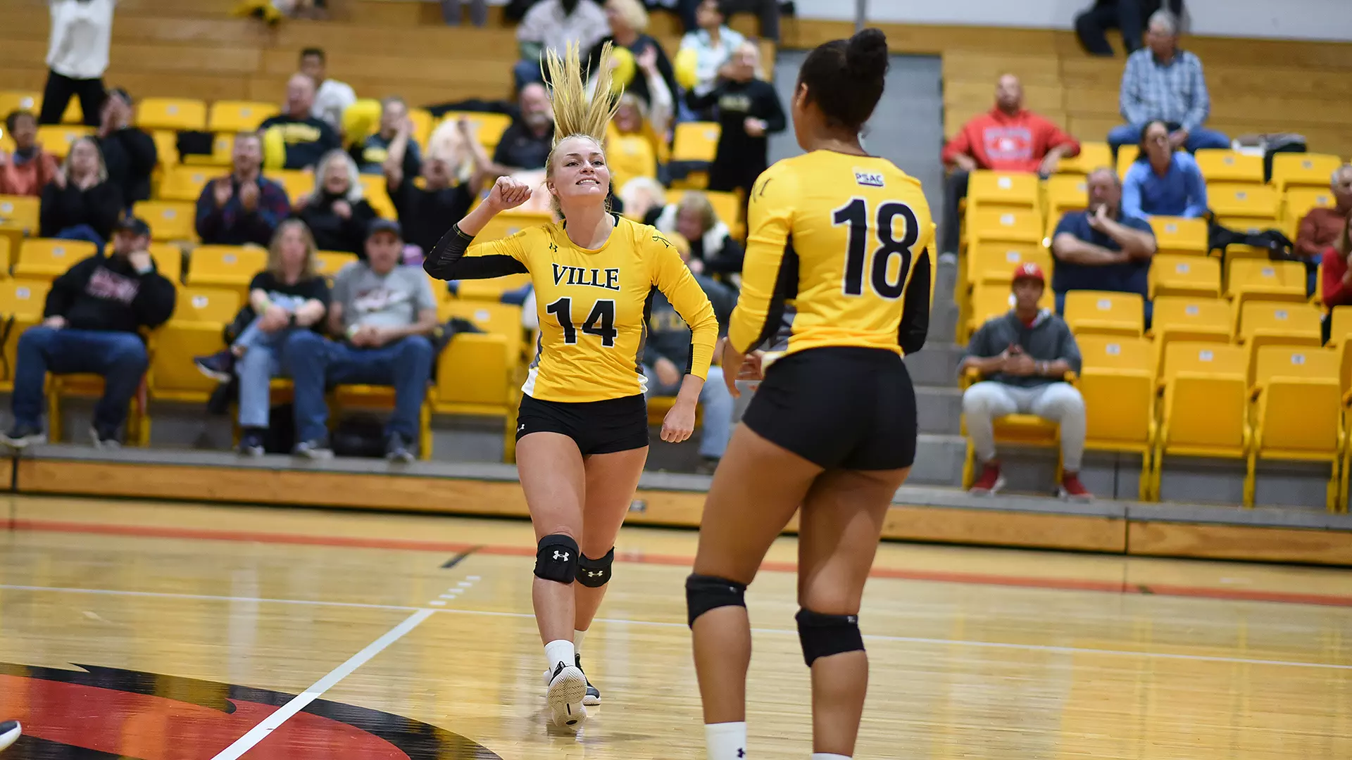 Women's Volleyball (NCAA Tournament)