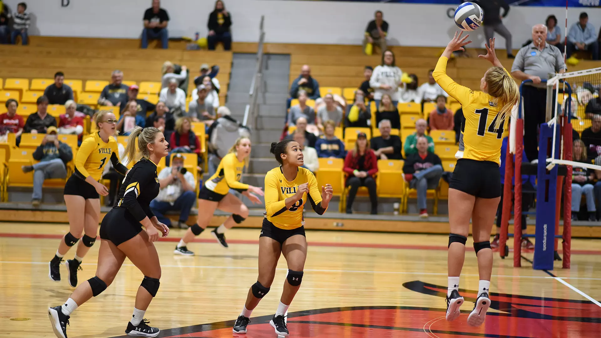 Women's Volleyball (NCAA Tournament)