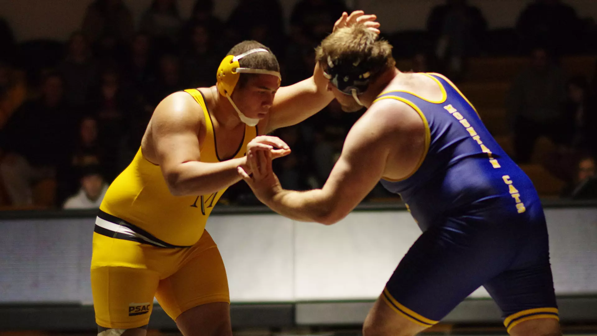 Wrestling vs Pitt Johnstown