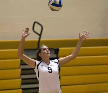 No. 17 California Knocks off Millersville in Crossover Action Image