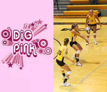 Dig Pink