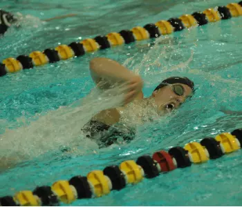 Marauder Swimming