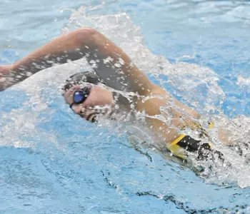 Marauders Take Care of Chatham for Second Time Image