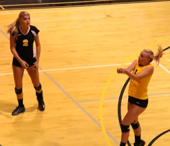 Caramanico and Lesinski