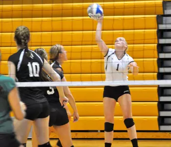 Sue Caramanico Serve