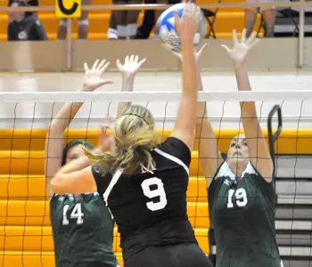 Brittany Lease Block