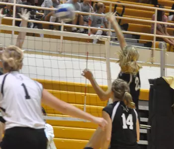 Katie Lesinski Spike