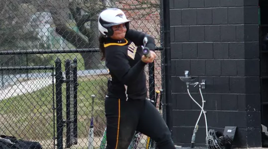 Emily Sneeringer Swing