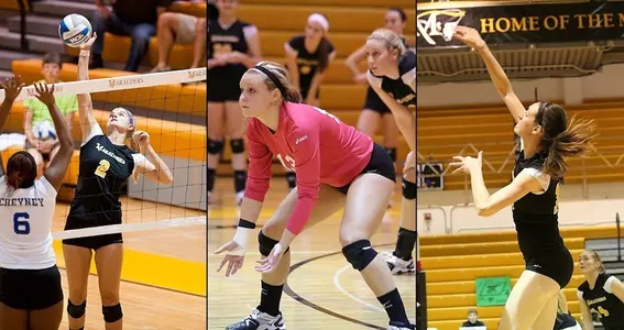 2014 All-PSAC VB