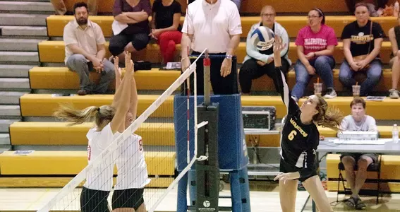 Millersvile Set to Host Shippensburg Image