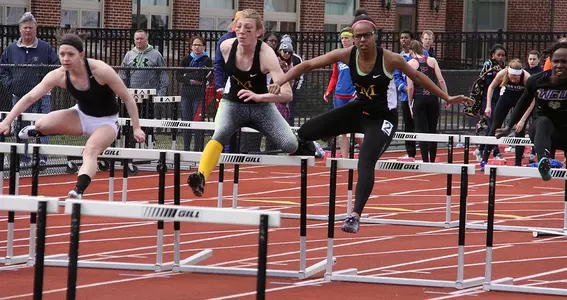 Erin Madison & Ari Camel