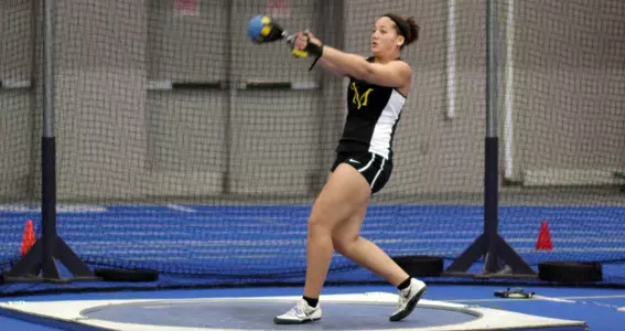 Sunflower Greene Action