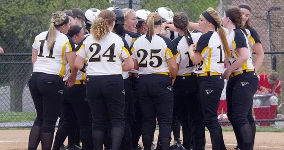 Softball Celebration