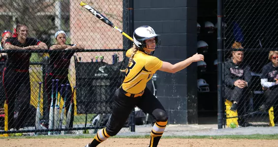 Softball splits with East Stroudsburg Image