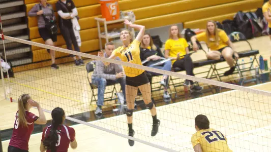 Volleyball Action 9-8