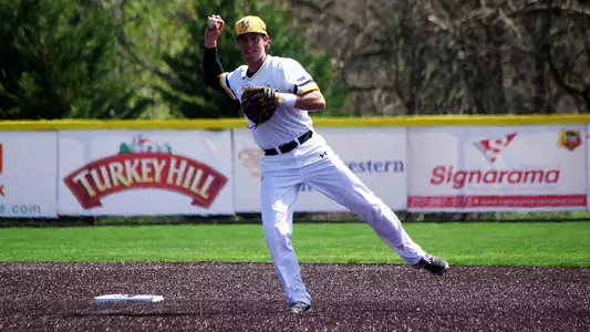 Ted Williams Baseball