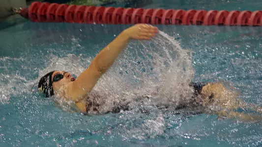 Alexis Shollenberger Feature