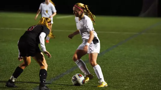 liebl fixed lighting