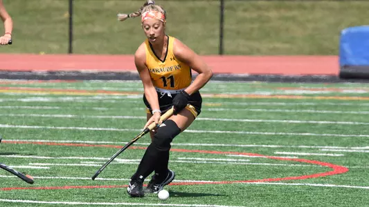 werkiser vs. adelphi