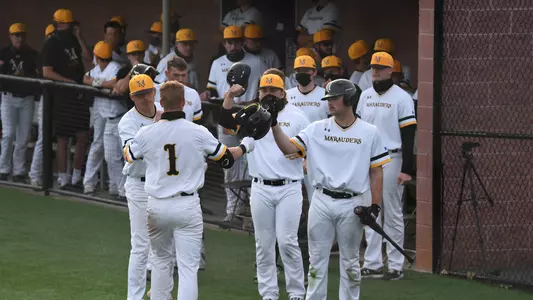 Baseball vs. Shepherd