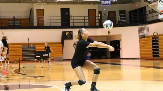 Volleyball Preseason Photo