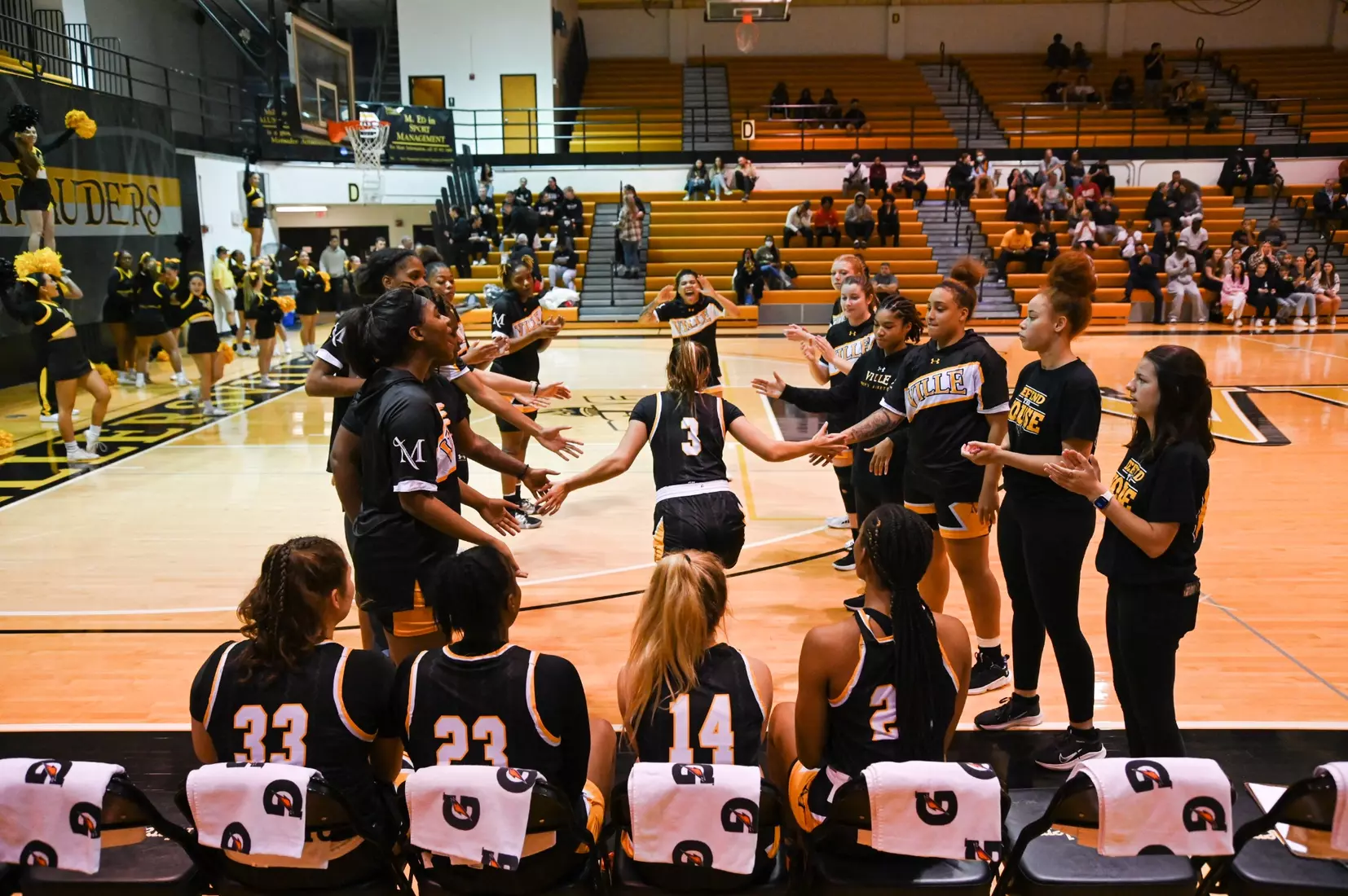 Women's Basketball vs Shaw