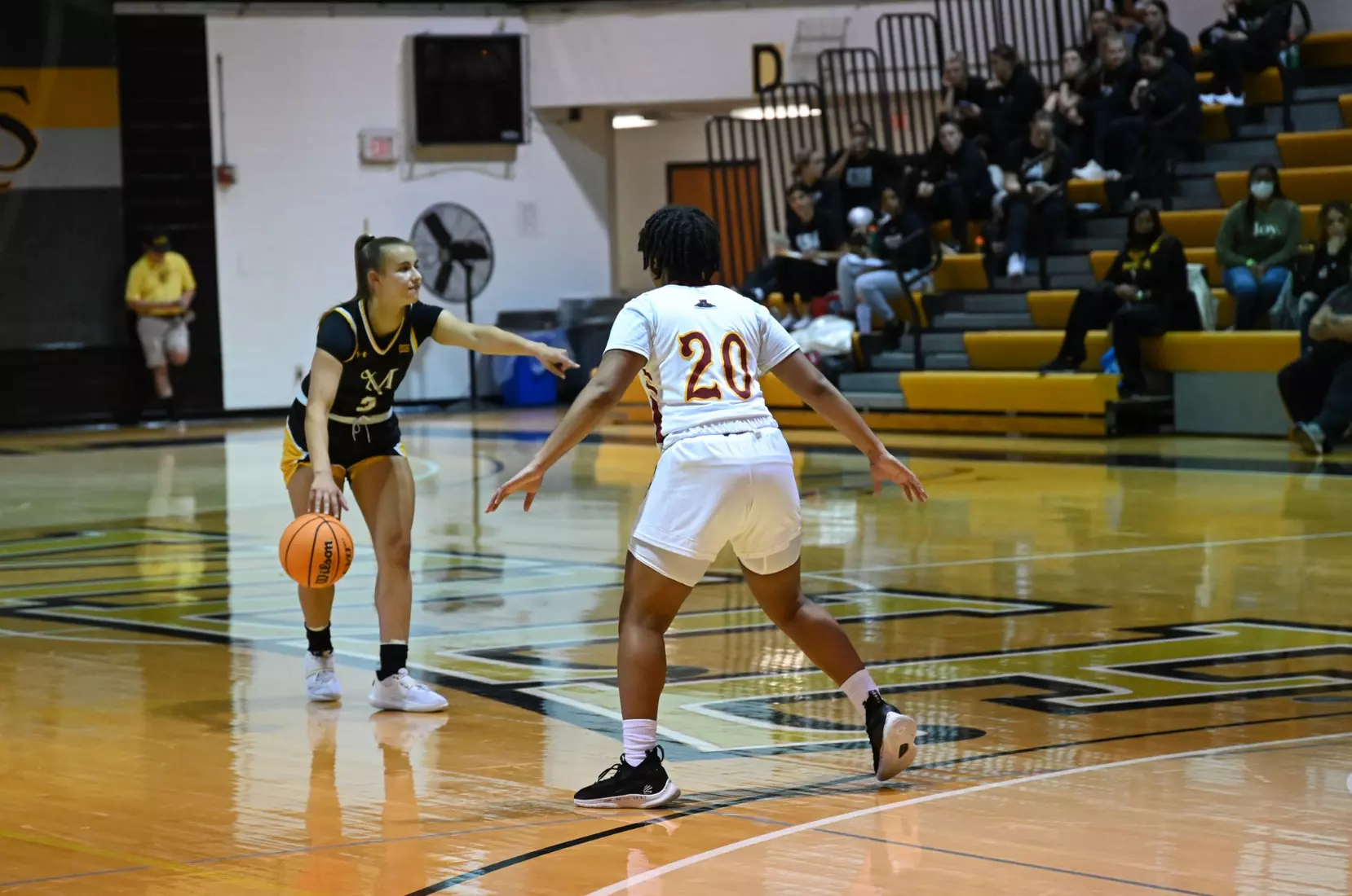 Women's Basketball vs Shaw