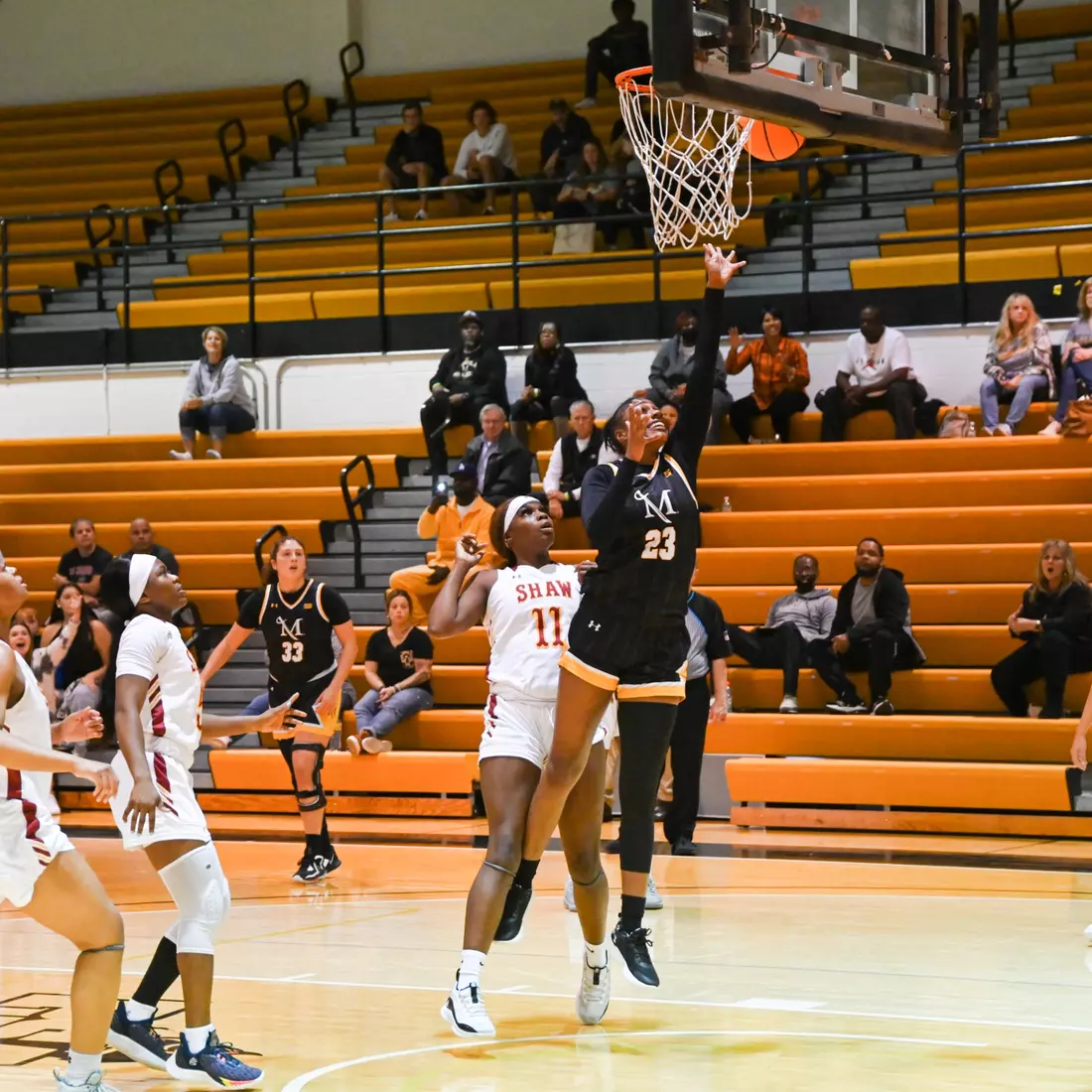 Women's Basketball vs Shaw