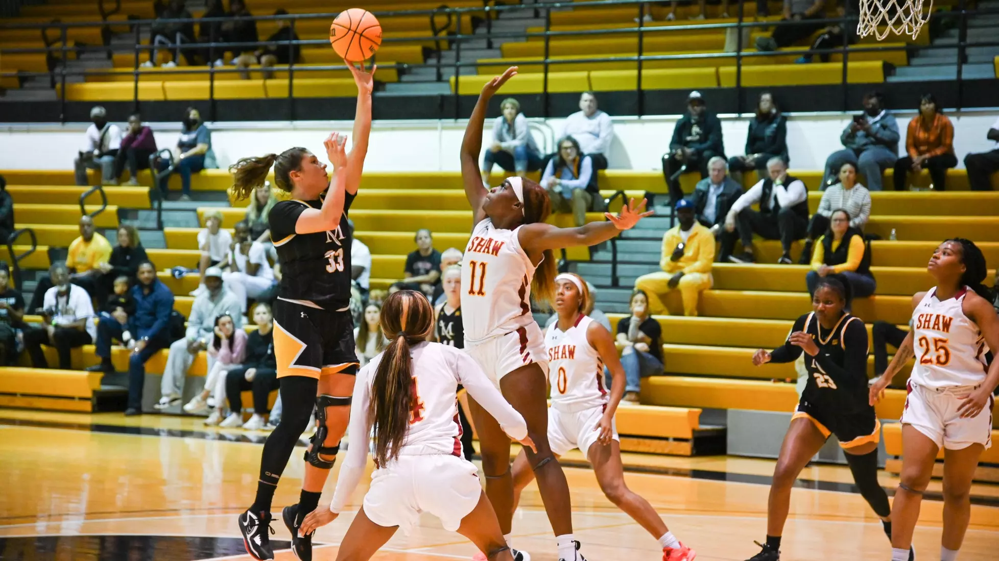 Women's Basketball vs Shaw
