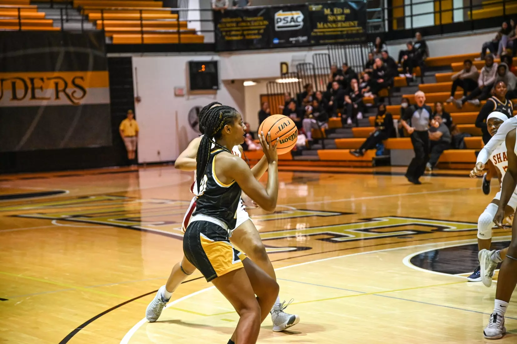 Women's Basketball vs Shaw