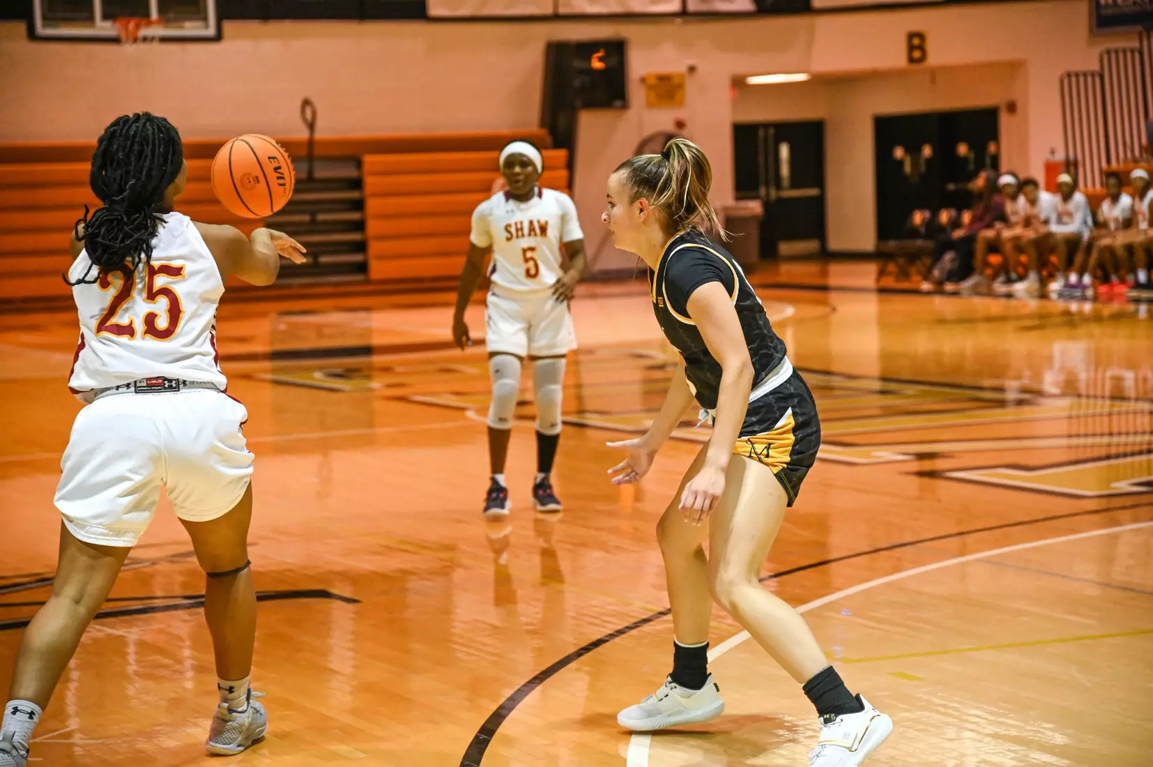 Women's Basketball vs Shaw