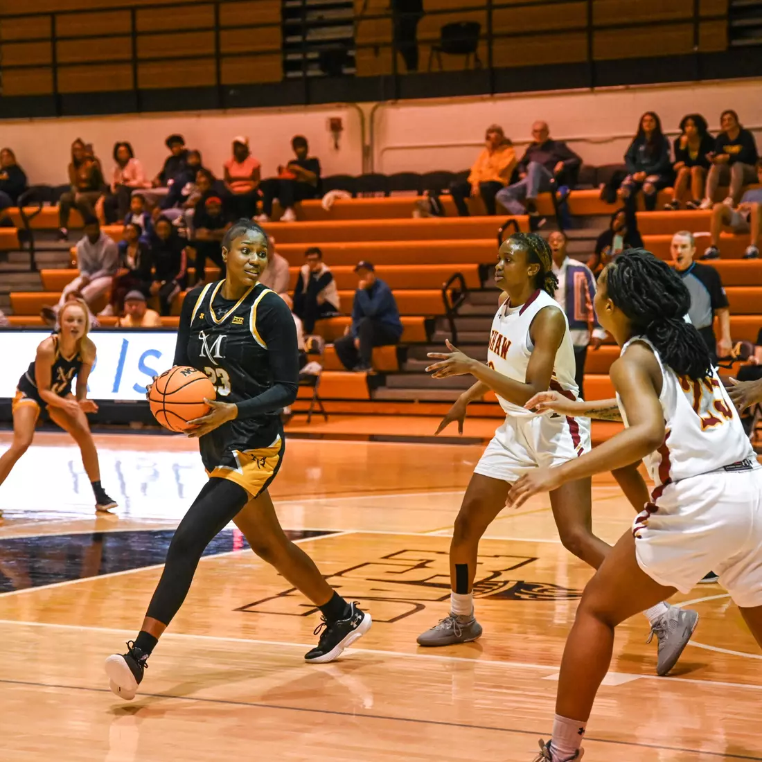 Women's Basketball vs Shaw