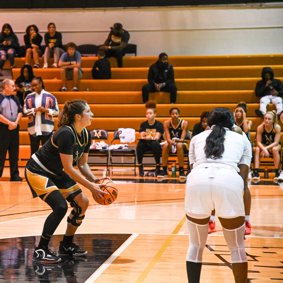 Women's Basketball vs Shaw