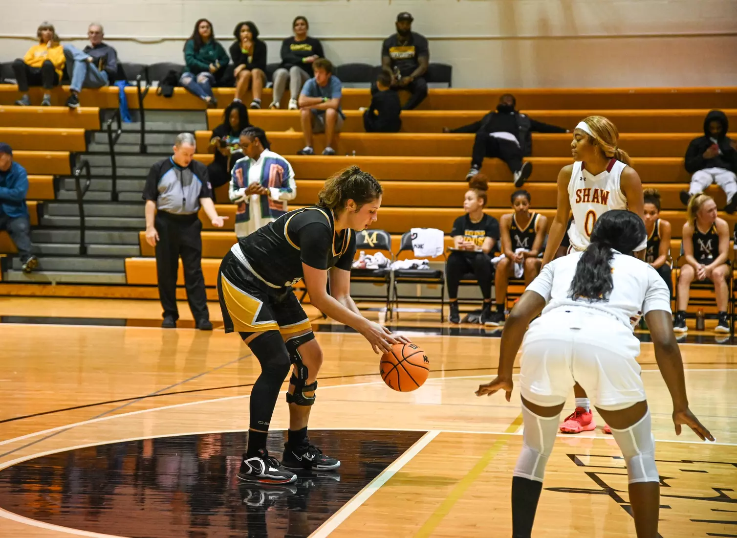 Women's Basketball vs Shaw