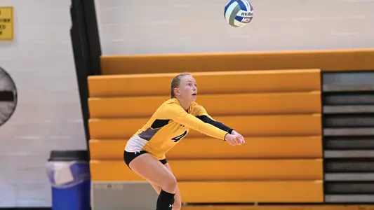 Volleyball action shot