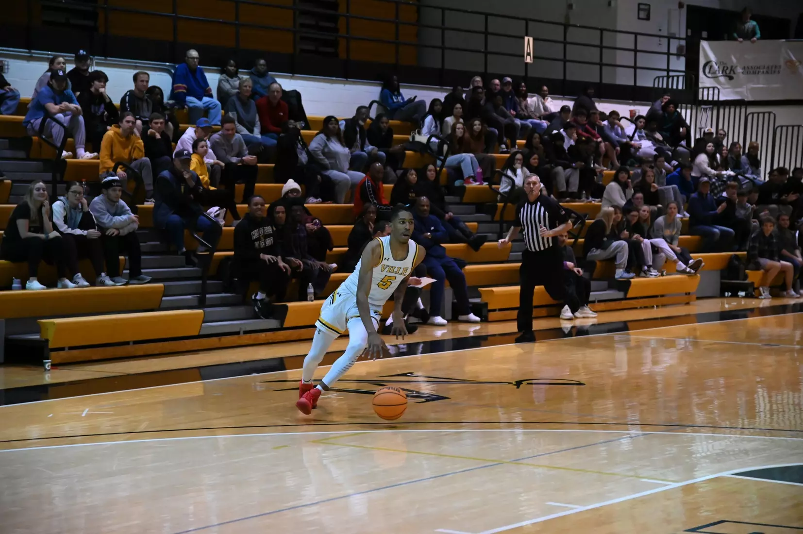 Men's Basketball vs Edinboro