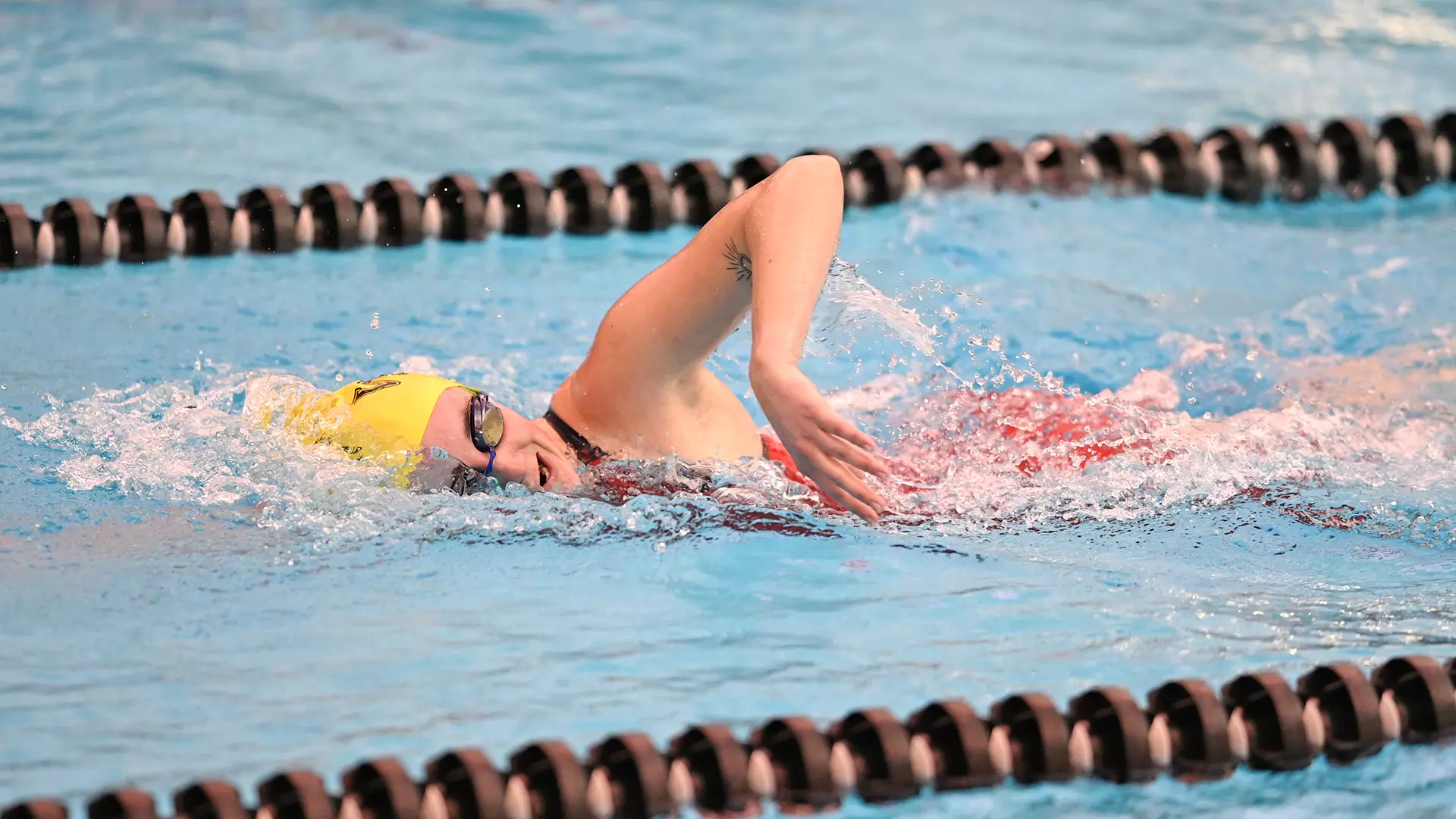 Millersville women's swimming