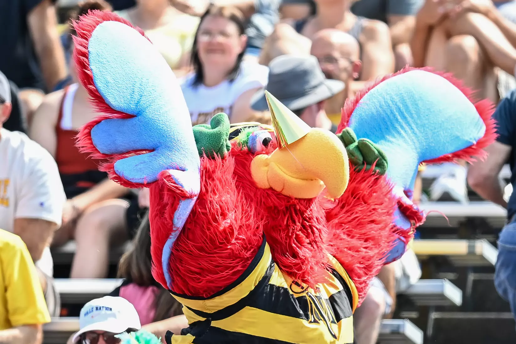 Millersville vs. Slippery Rock in football action at Chryst Field at Beimsderfer Stadium in Millersville on Saturday, September 17, 2022.