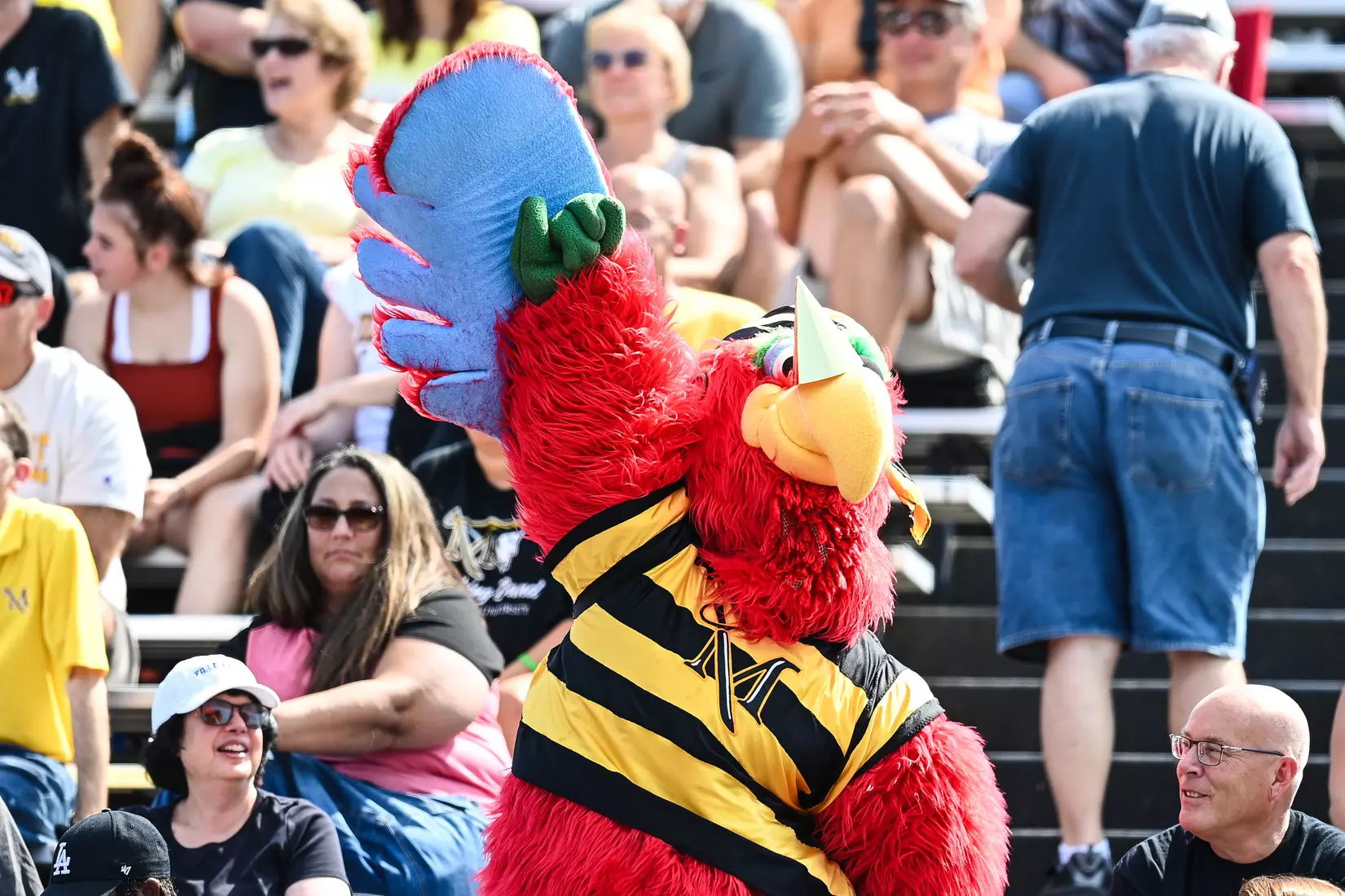 Millersville vs. Slippery Rock in football action at Chryst Field at Beimsderfer Stadium in Millersville on Saturday, September 17, 2022.