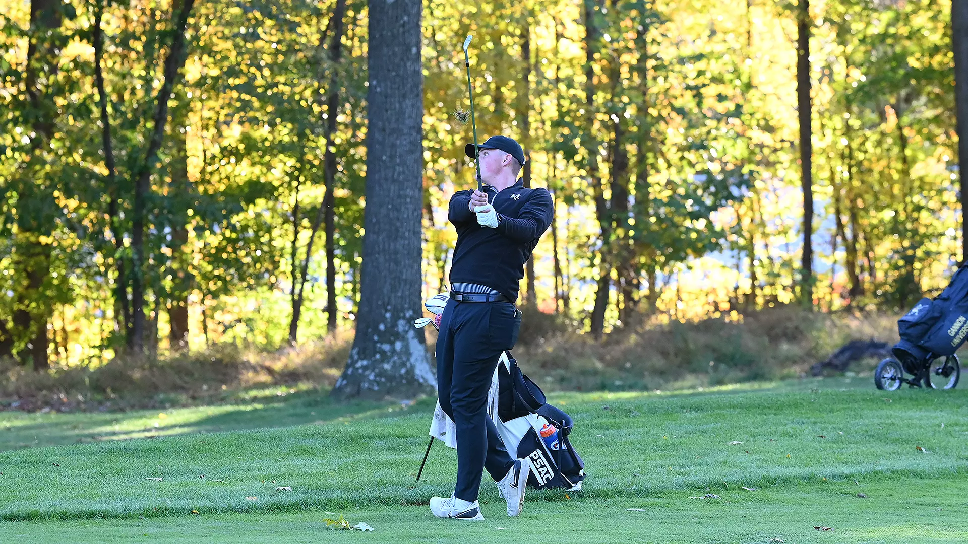 Millersville men's golf