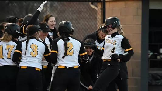 Home Run Celebration