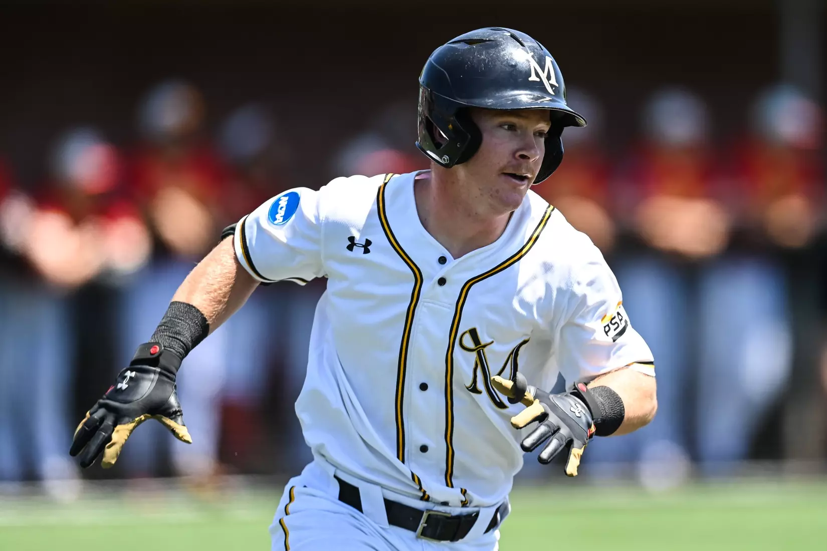 Millersville vs. Seton Hill game 1 of the NCAA DII Atlantic Super Regional action at Cooper Park in Millersville on Friday, May 26, 2023. Mark Palczewski/Millersville Athletics.