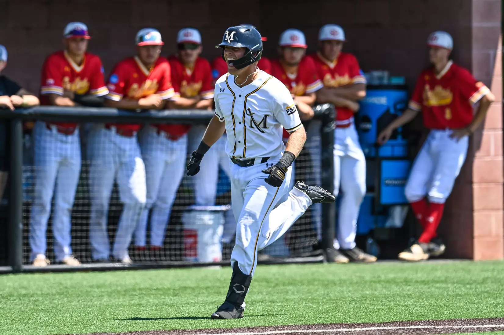 Millersville vs. Seton Hill game 1 of the NCAA DII Atlantic Super Regional action at Cooper Park in Millersville on Friday, May 26, 2023. Mark Palczewski/Millersville Athletics.