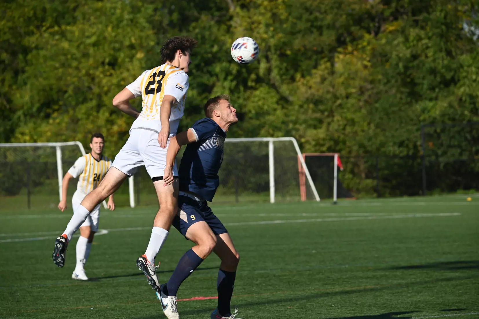 MSOC vs. Shepherd