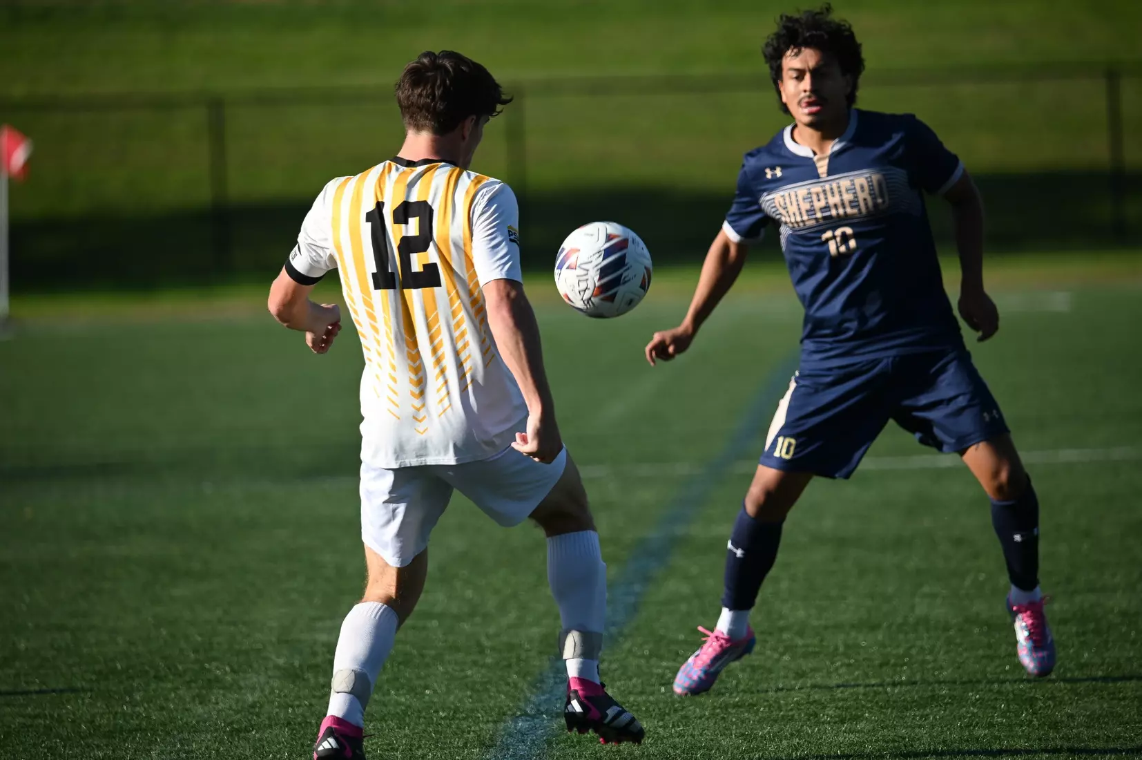 MSOC vs. Shepherd