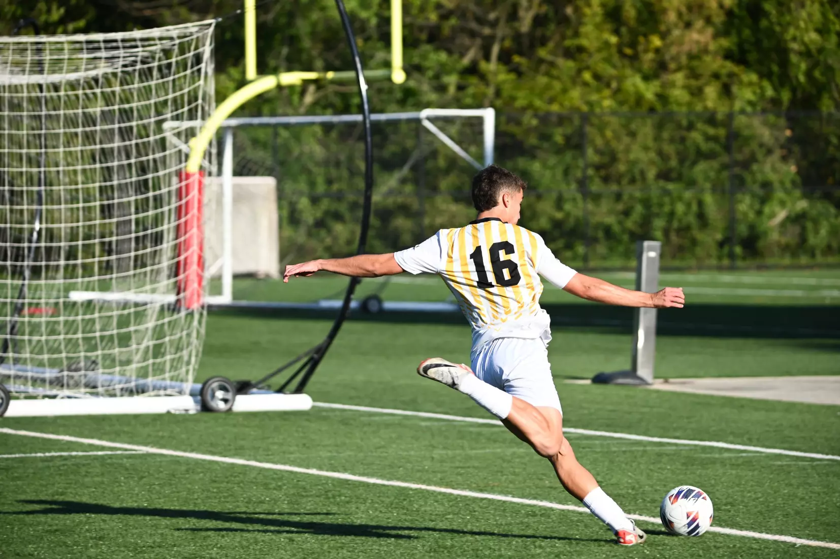 MSOC vs. Shepherd