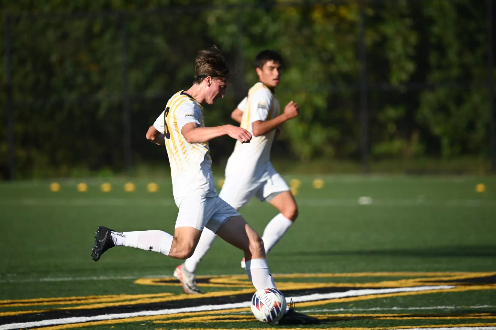 MSOC vs. Shepherd