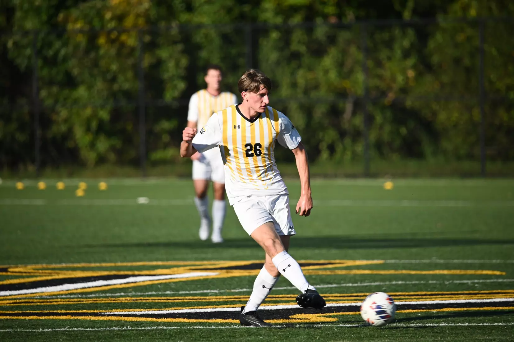 MSOC vs. Shepherd