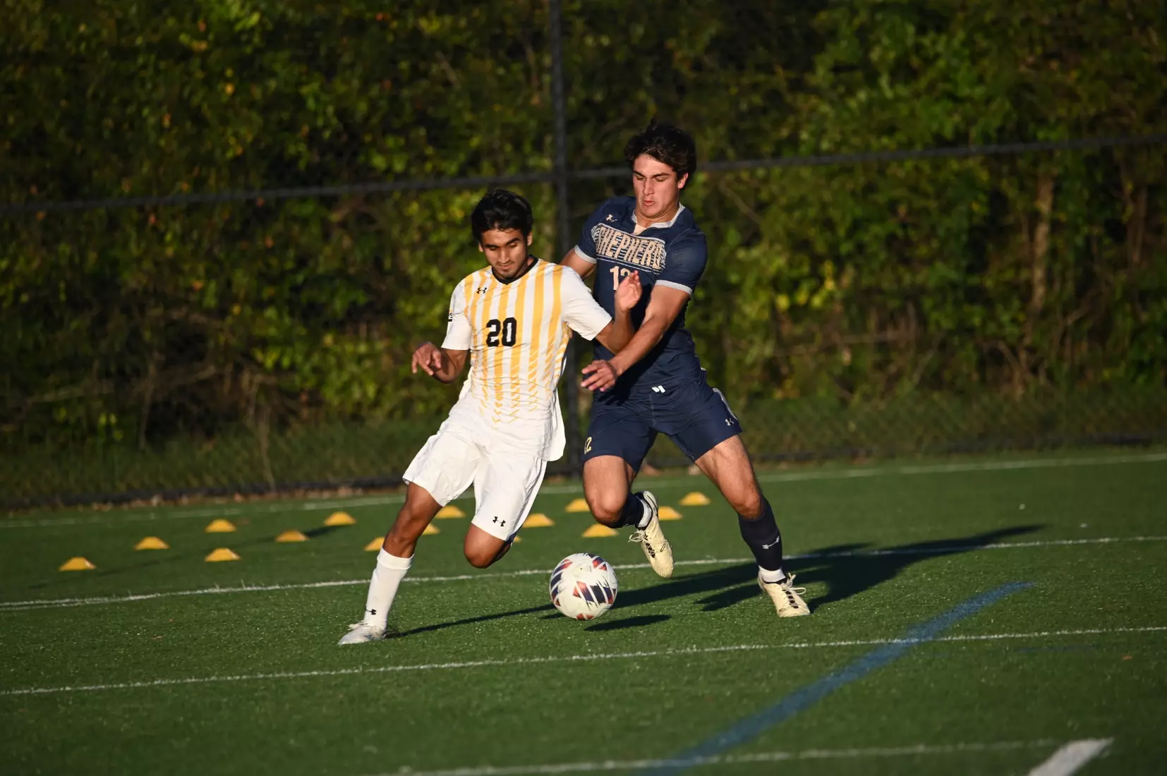 MSOC vs. Shepherd